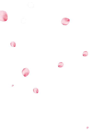 {{t0004}}